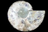 Cut Ammonite Fossil (Half) - Agatized #121483-1